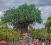 Animal Kingdom, maior parque da Disney é animal!